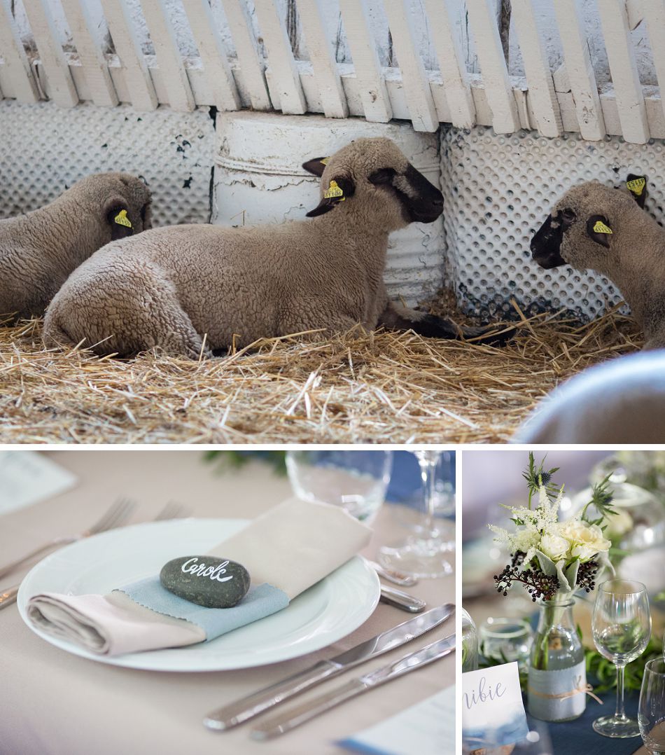 Mariage dans une bergerie dans les Vosges